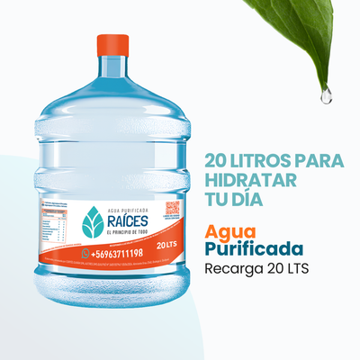 Recarga Agua Purificada 20 L. Hidrata mejor tu cuerpo. Eleva tu energía cada día 💧