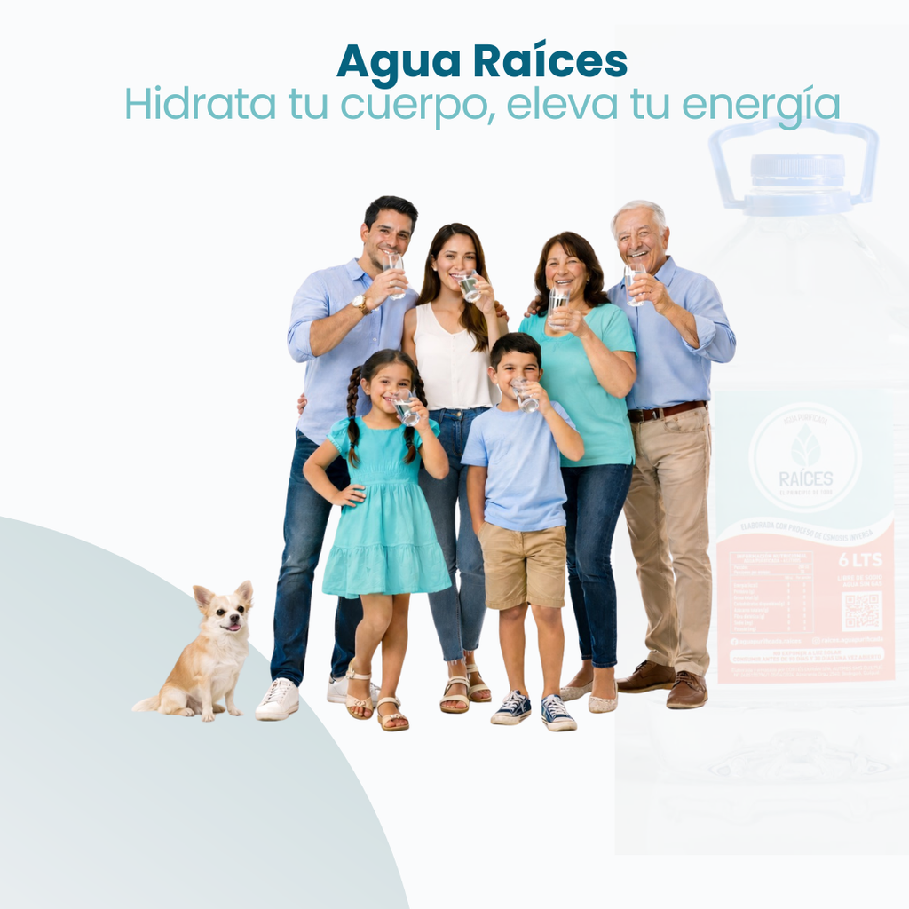 Pack De 2 Botellones De 6 Litros- Agua Purificada
