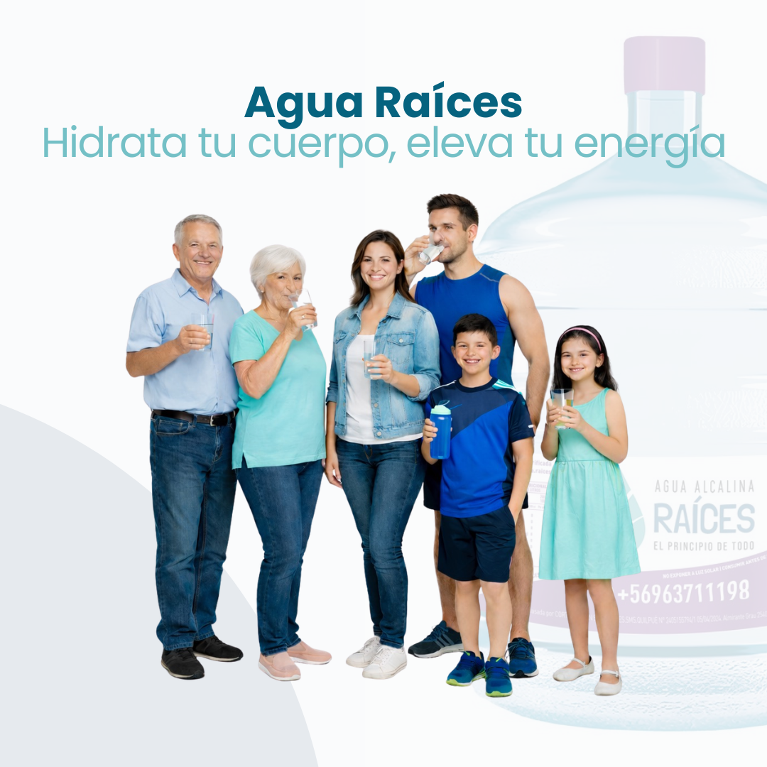 Pack 4 Recargas Agua Alcalina 20 LT