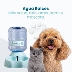 Dispensador de Agua Para Mascotas 3,5 L