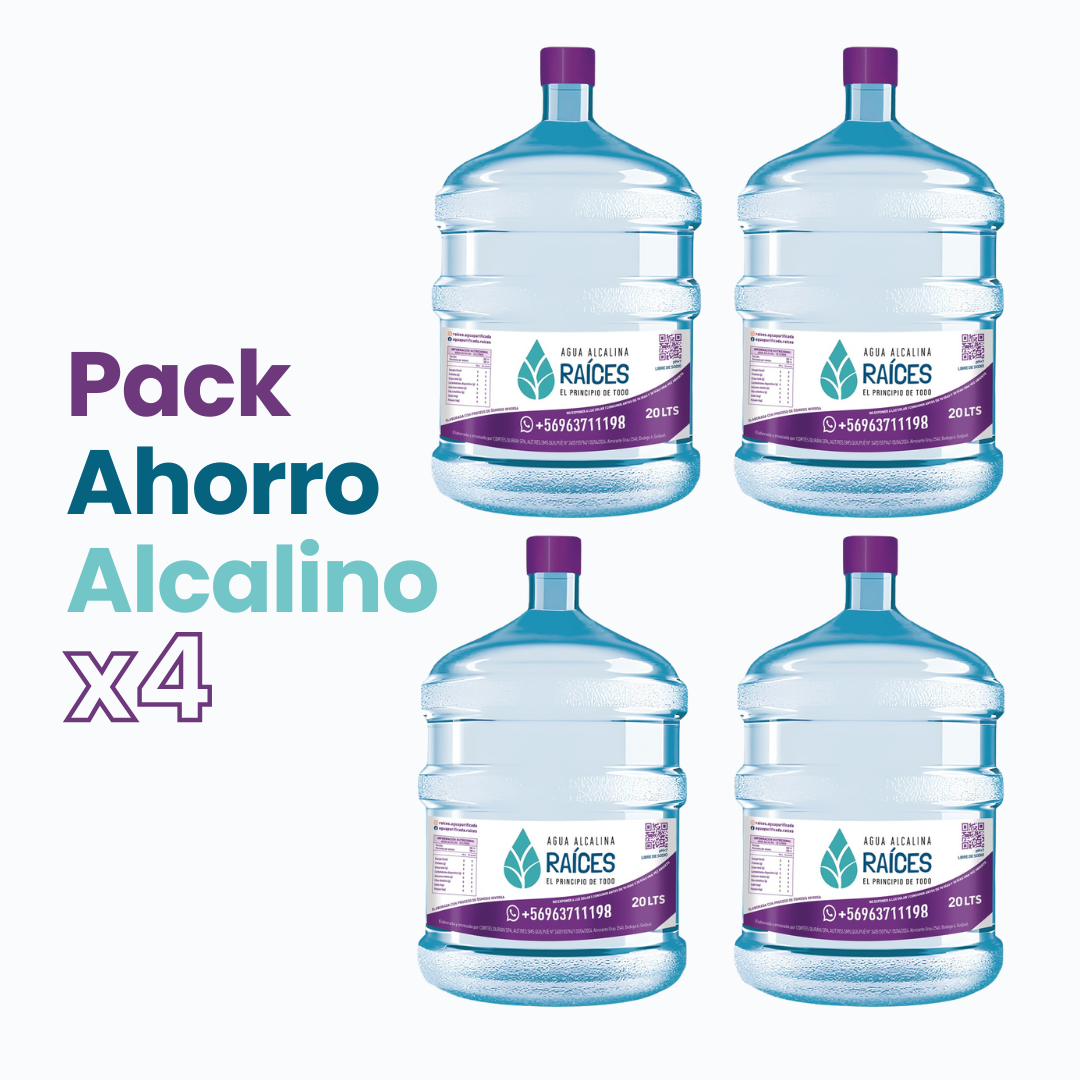 Pack 4 Recargas Agua Alcalina 20 LT