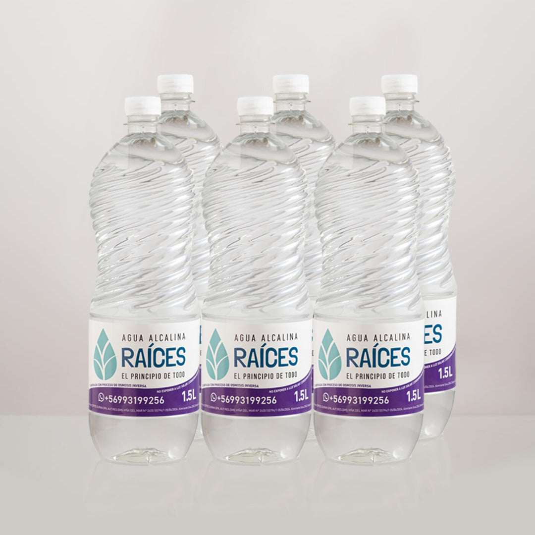Pack De 6 Botellas de 1,5 Lt - Agua Alcalina