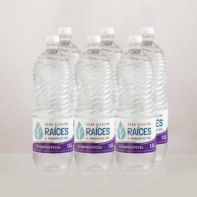 Pack De 6 Botellas de 1,5 Lt - Agua Alcalina