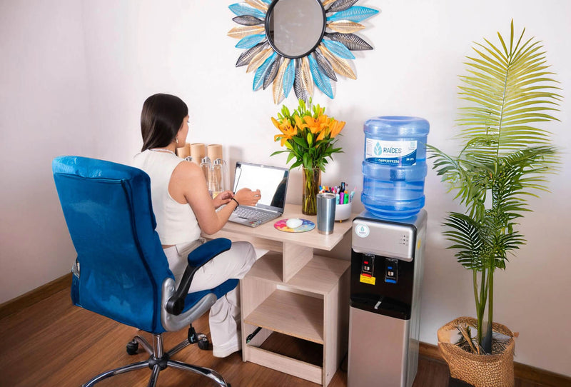 Conviértete en Partner Distribuidor